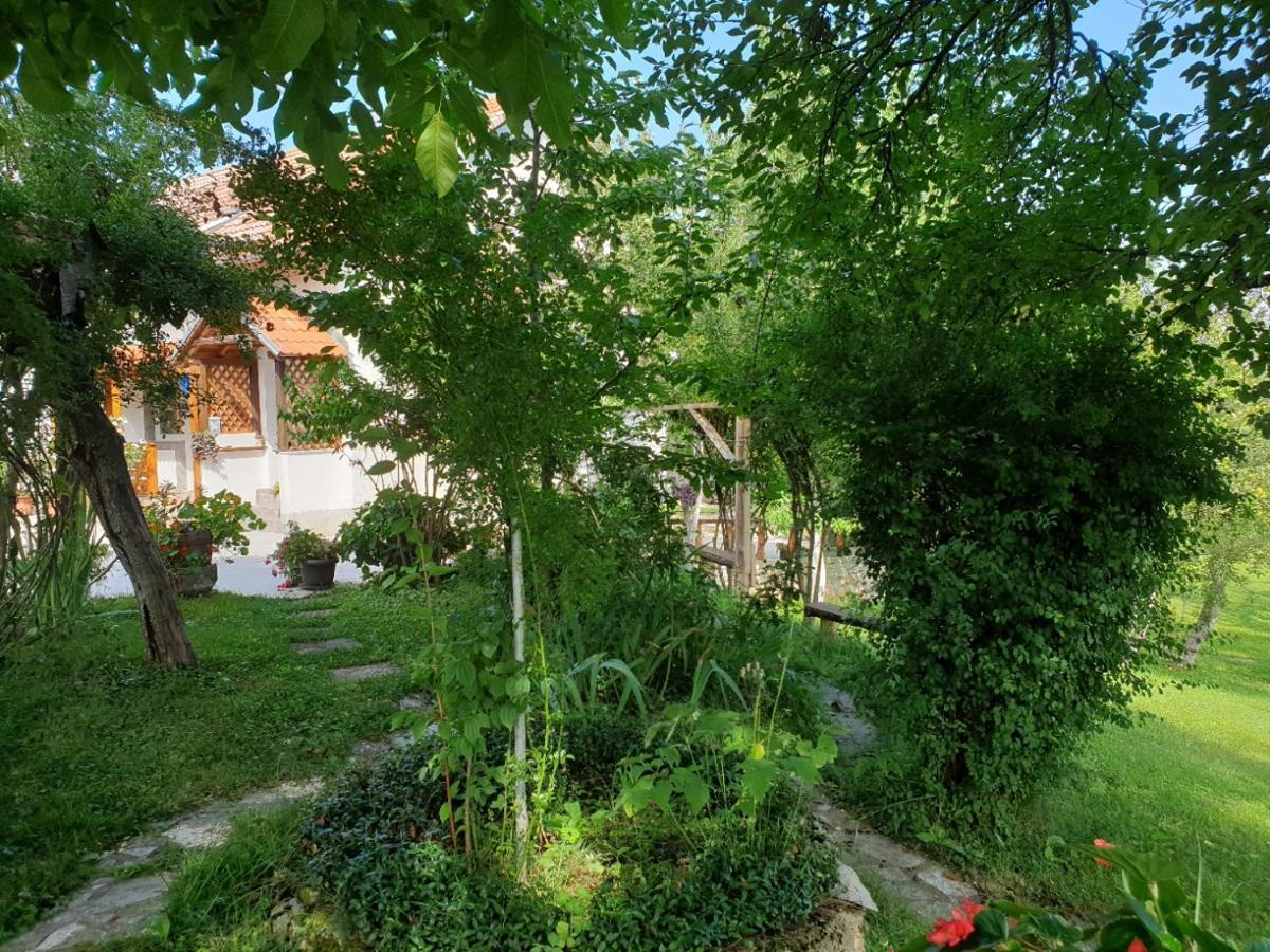 Apartment Liso Seliste Dreznicko Bagian luar foto