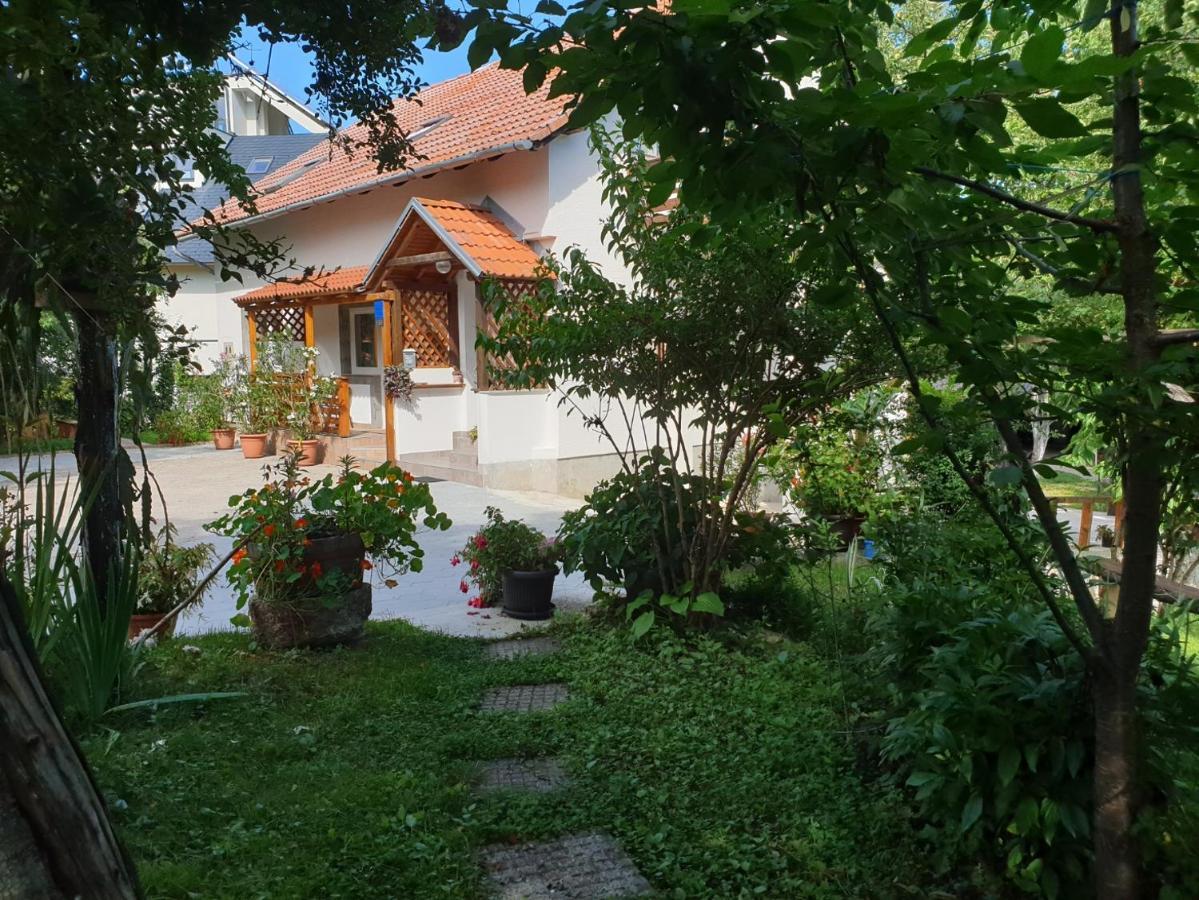 Apartment Liso Seliste Dreznicko Bagian luar foto