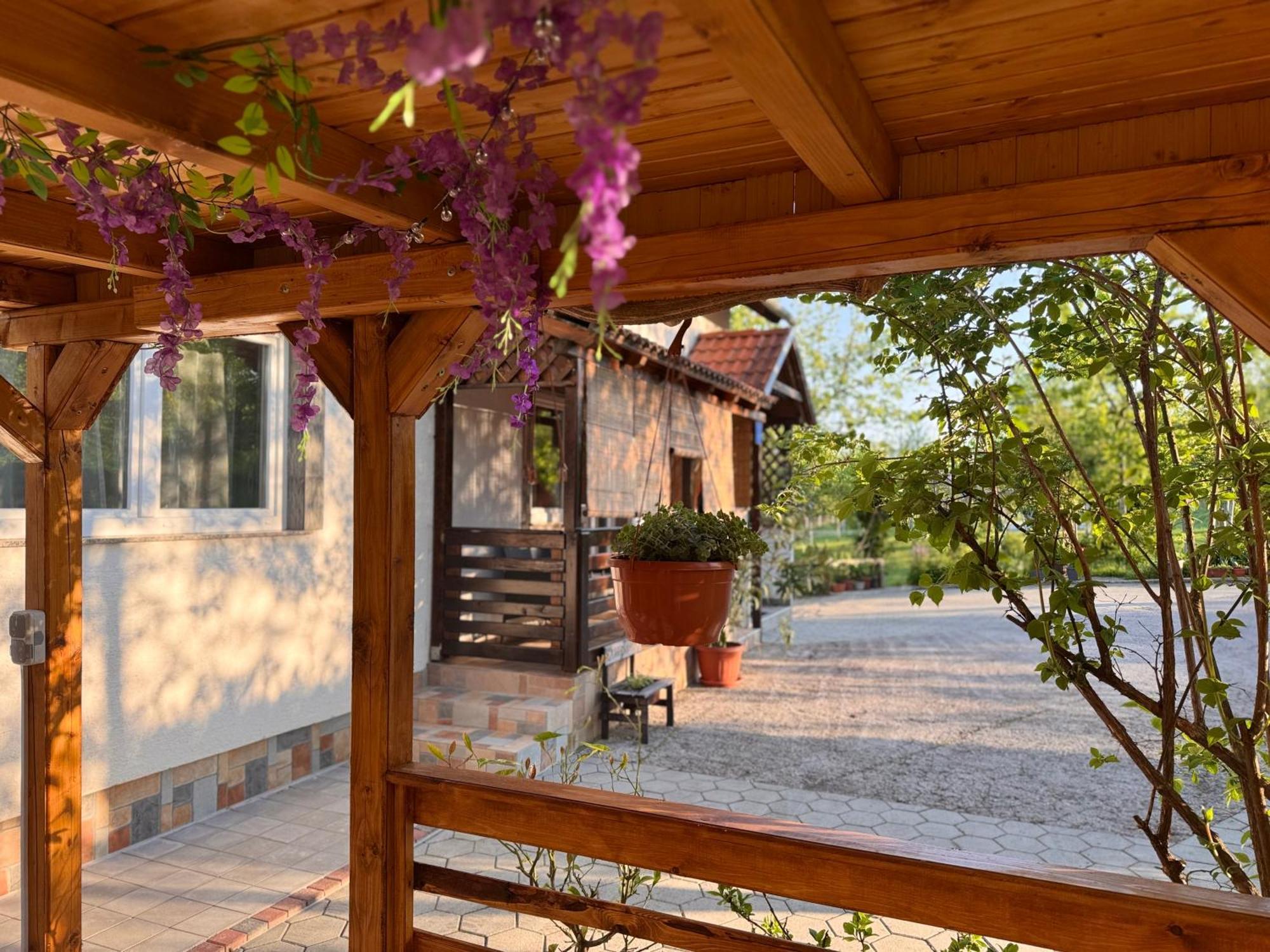Apartment Liso Seliste Dreznicko Bagian luar foto